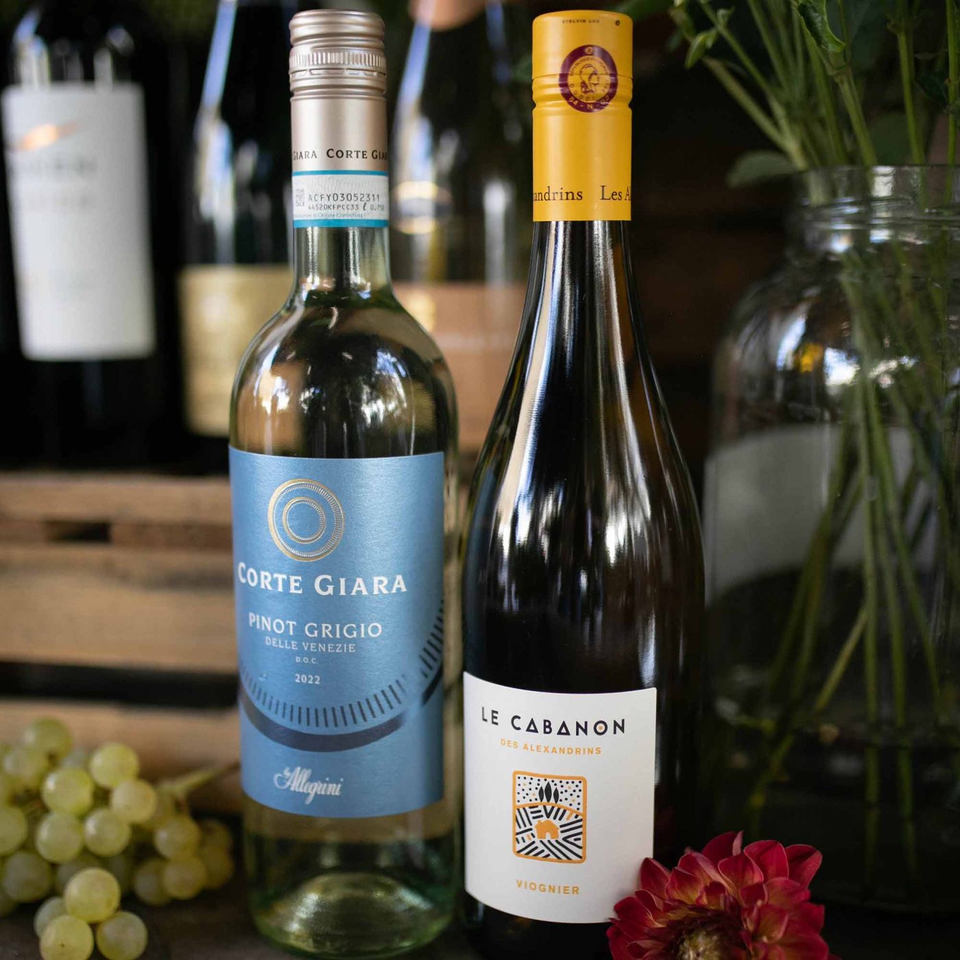 The Mixed Wine Box, set of 6 bottles Bayley & Sage