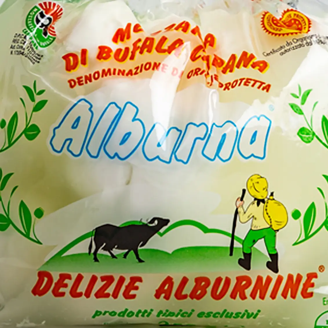 Buffalo burrata
