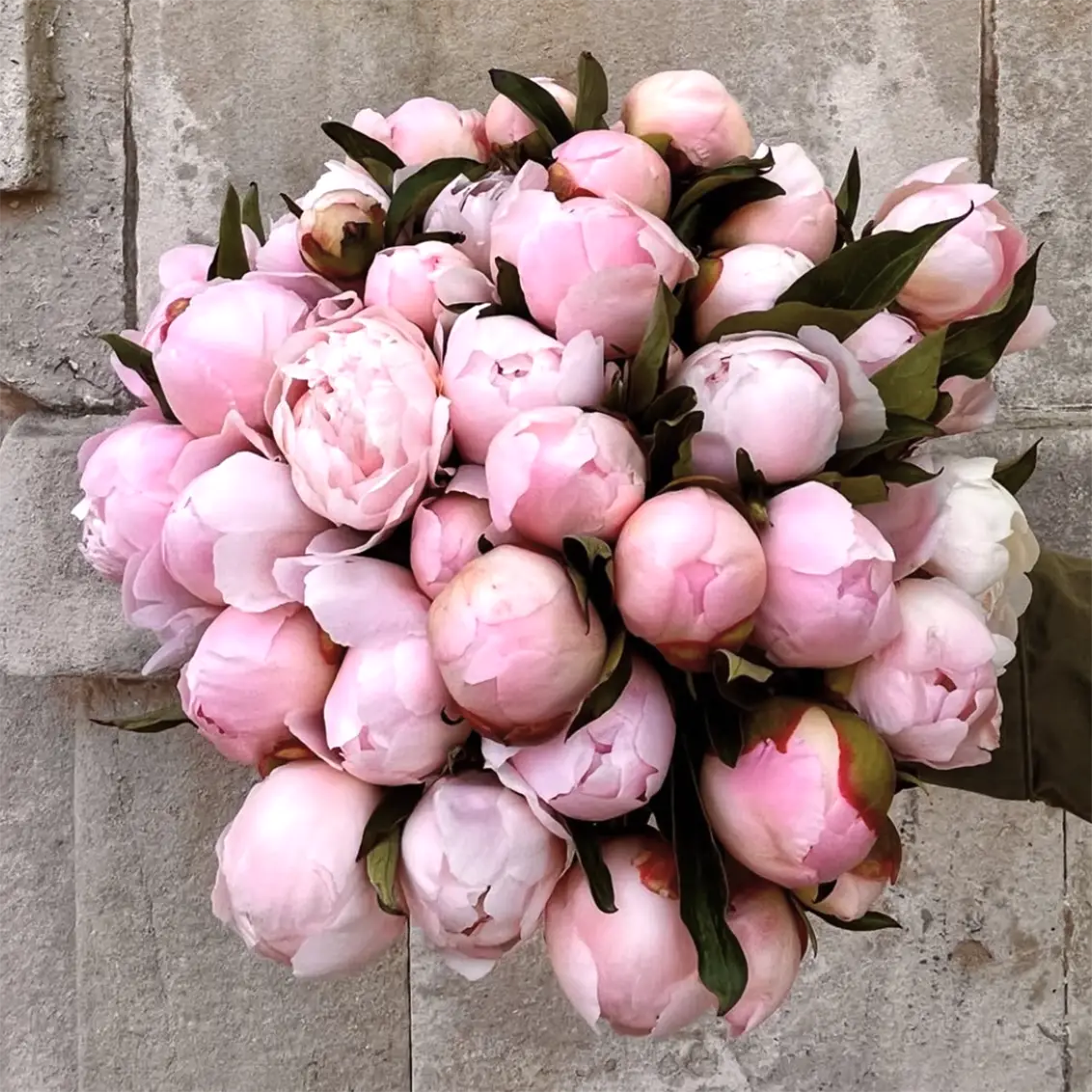 Peonies