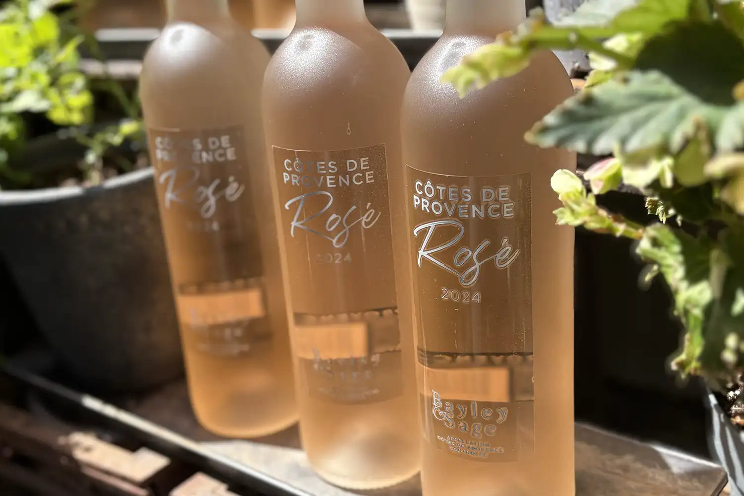 Bayley & Sage Cote de Provence Rosé 2024, case of 6