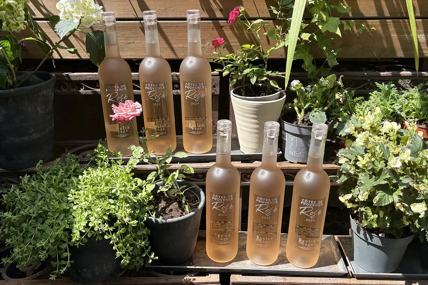 Bayley & Sage Cote de Provence Rosé 2024, case of 6 - Image 2