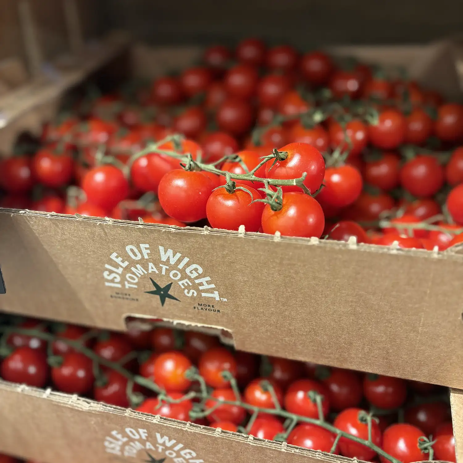 Isle of Wight Tomatoes