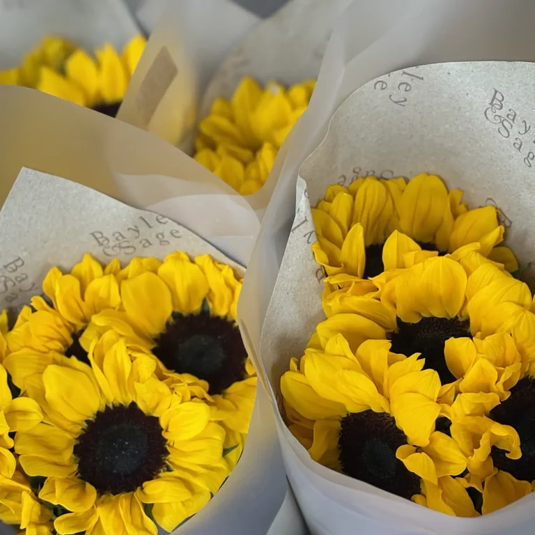 Bayley & Sage Sunflowers