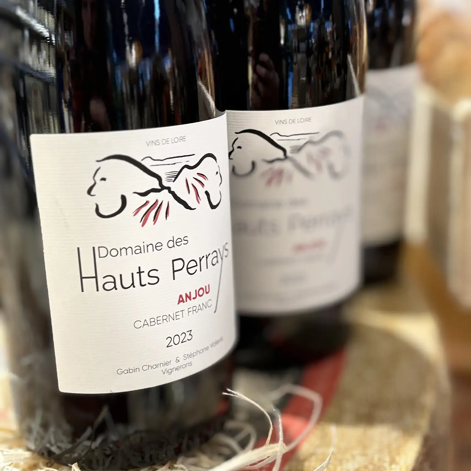 Domaine des Hauts Perrays Anjou
