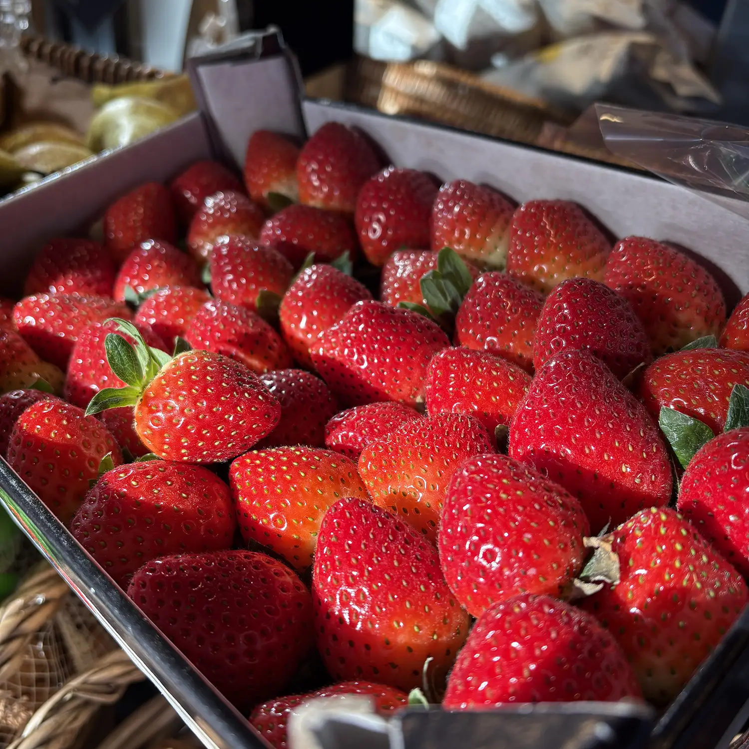 1kg Strawberry Trays