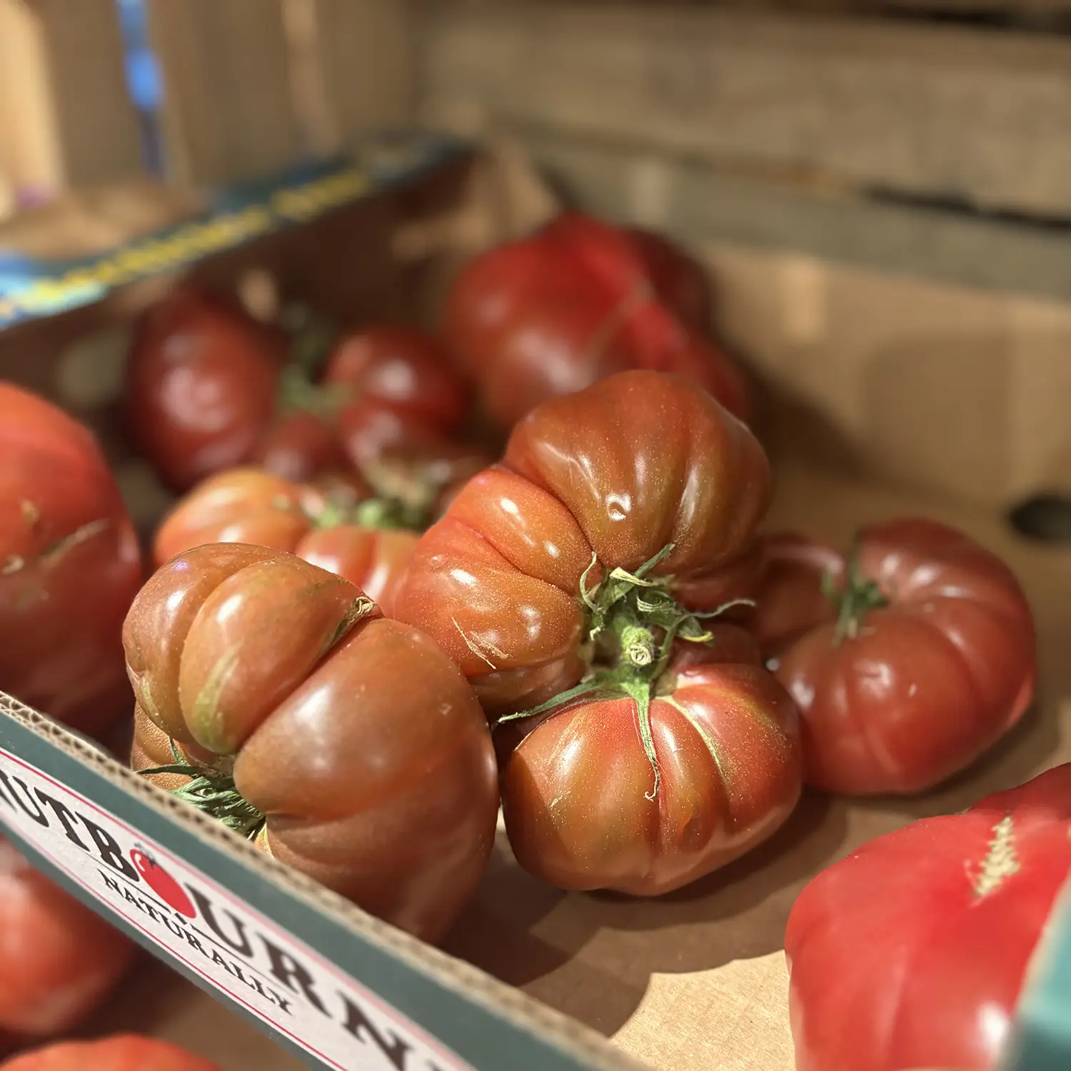 Crimée Noire Tomatoes
