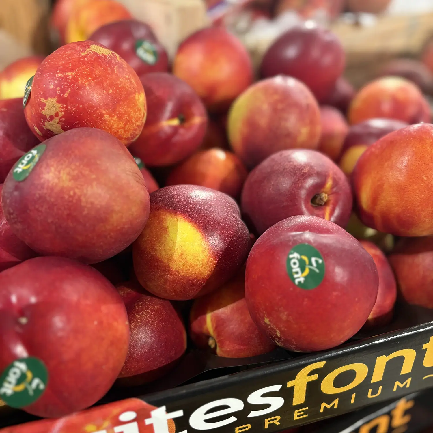 Nectarines